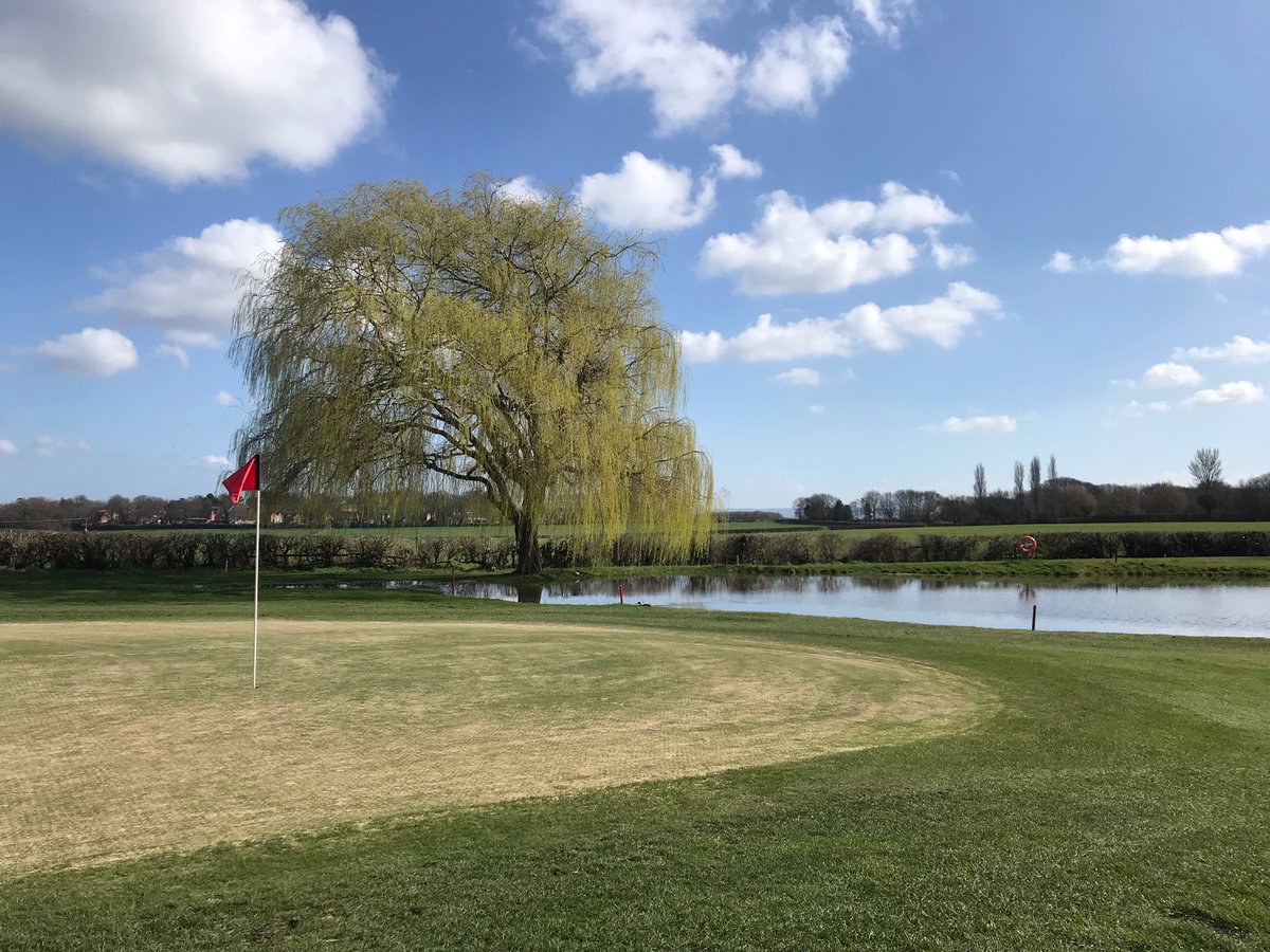 TheTomlins's tweet photo. How close was I to my first hole in one today? ⛳️ 
This close! Dead straight, couple of inches short. If it weren’t for the greens being sanded, it would be an ace. 
It was nervy, but sunk the putt for my second birdie of the day. https://t.co/1T8XsZ3d8H