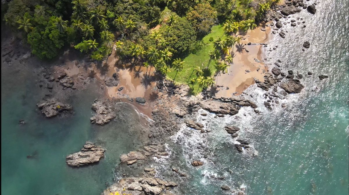 BuzzTheo's tweet photo. Costa rica
Taken with my @DJIGlobal
#costarica #dron3 #photo #PictureOfTheDay #nature #landscape #Mavic https://t.co/OiKZOzfOu0