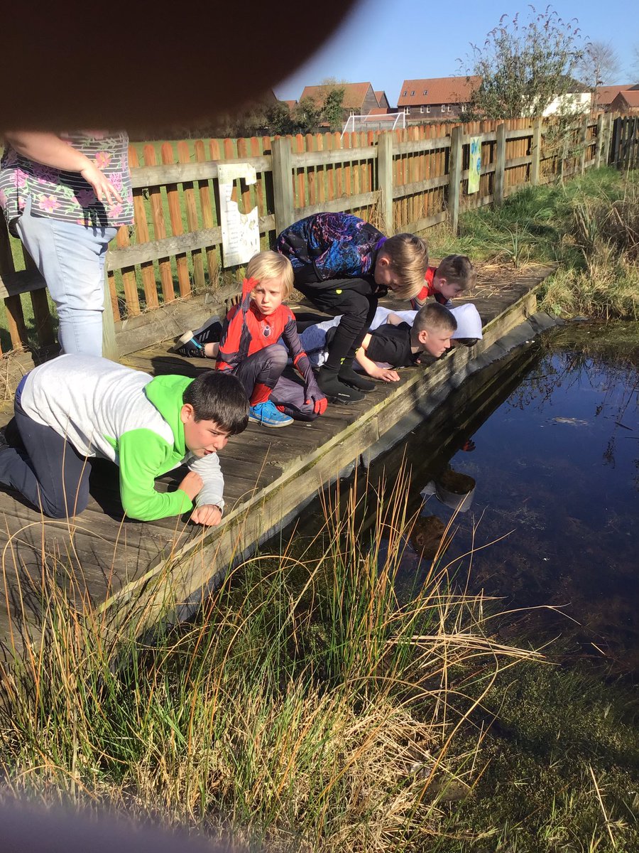 MapleEHPS's tweet photo. We went to the pond today and thought about when Wick went with the hobs #harklights @timbertilley https://t.co/PThVk3YIdg