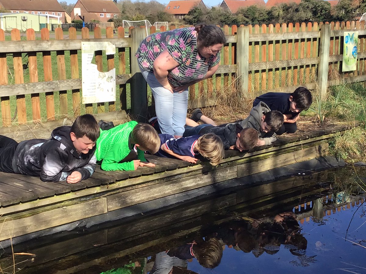MapleEHPS's tweet photo. We went to the pond today and thought about when Wick went with the hobs #harklights @timbertilley https://t.co/PThVk3YIdg