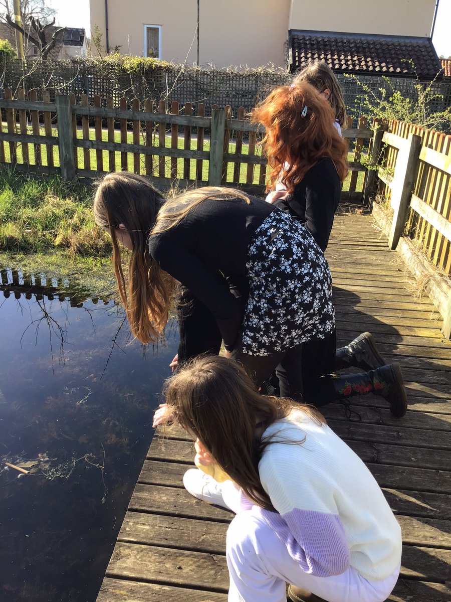 MapleEHPS's tweet photo. We went to the pond today and thought about when Wick went with the hobs #harklights @timbertilley https://t.co/PThVk3YIdg