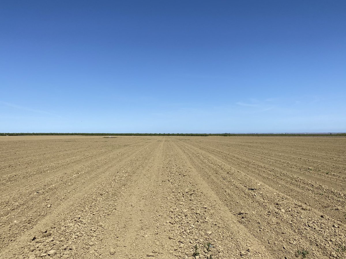 What drought looks like in Calif. No water, no crops, no people, no #jobs, no #food. Only silence. It affects #farmworkers, #families, #disadvantagedcommunities, #essentialworkers, #Latinos, POC. And it affects consumer’s food prices. #CAdrought #CAwater #foodsecurity