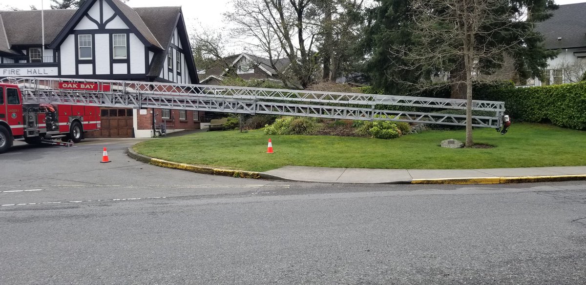 Ray Bernoties tweet media