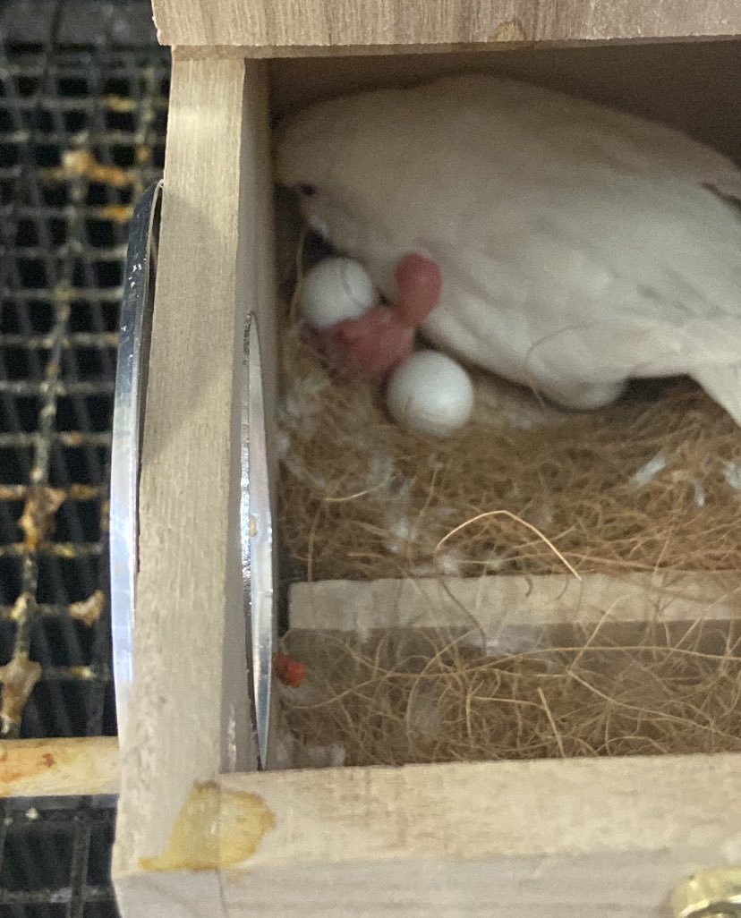 Mike Szydlowski tweet media