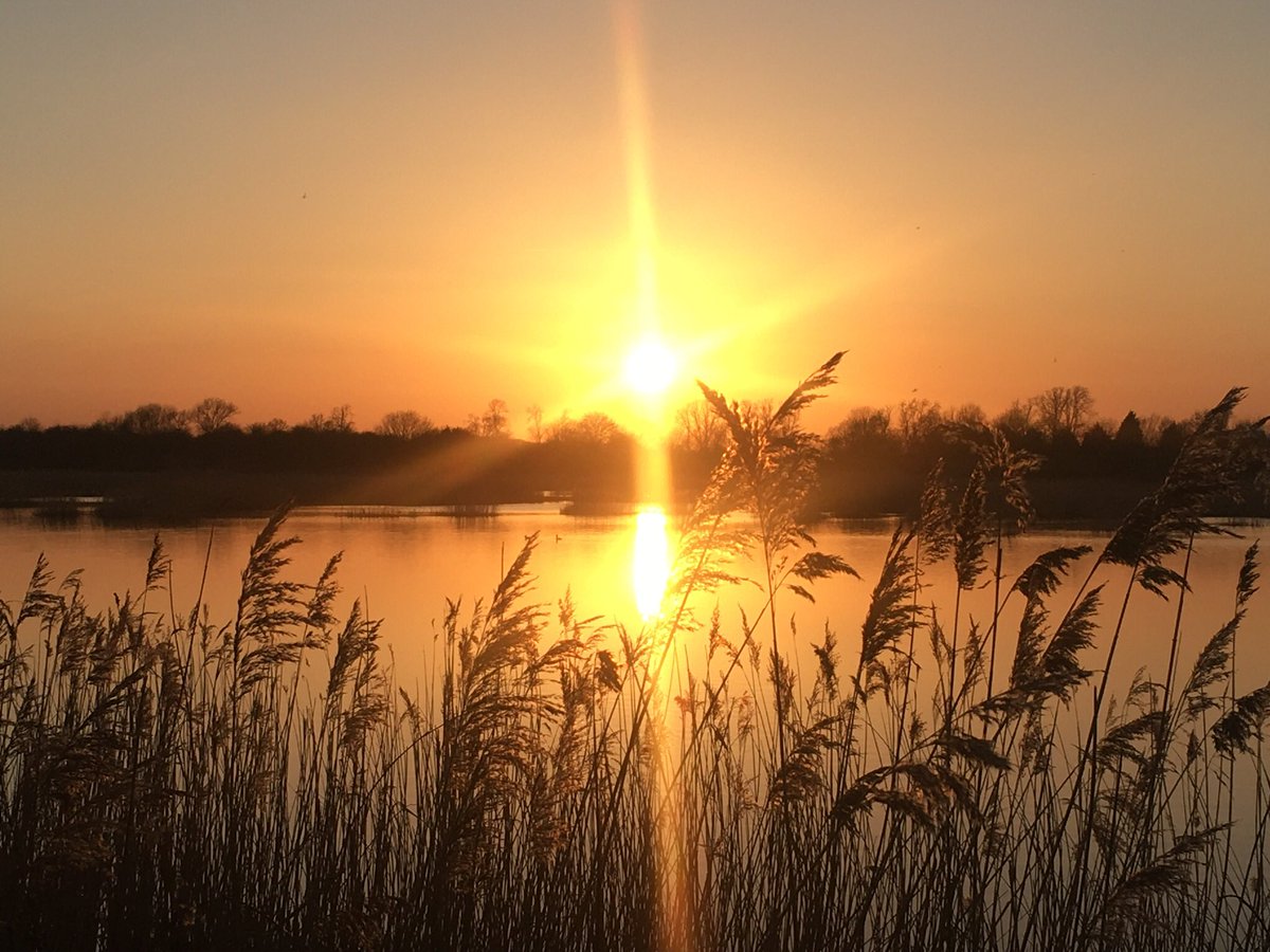ChrisCu10106064's tweet photo. RSPB Langford Lowfields #sunset #langfordlowfields #evening #stroll https://t.co/hIdsEbcbVN