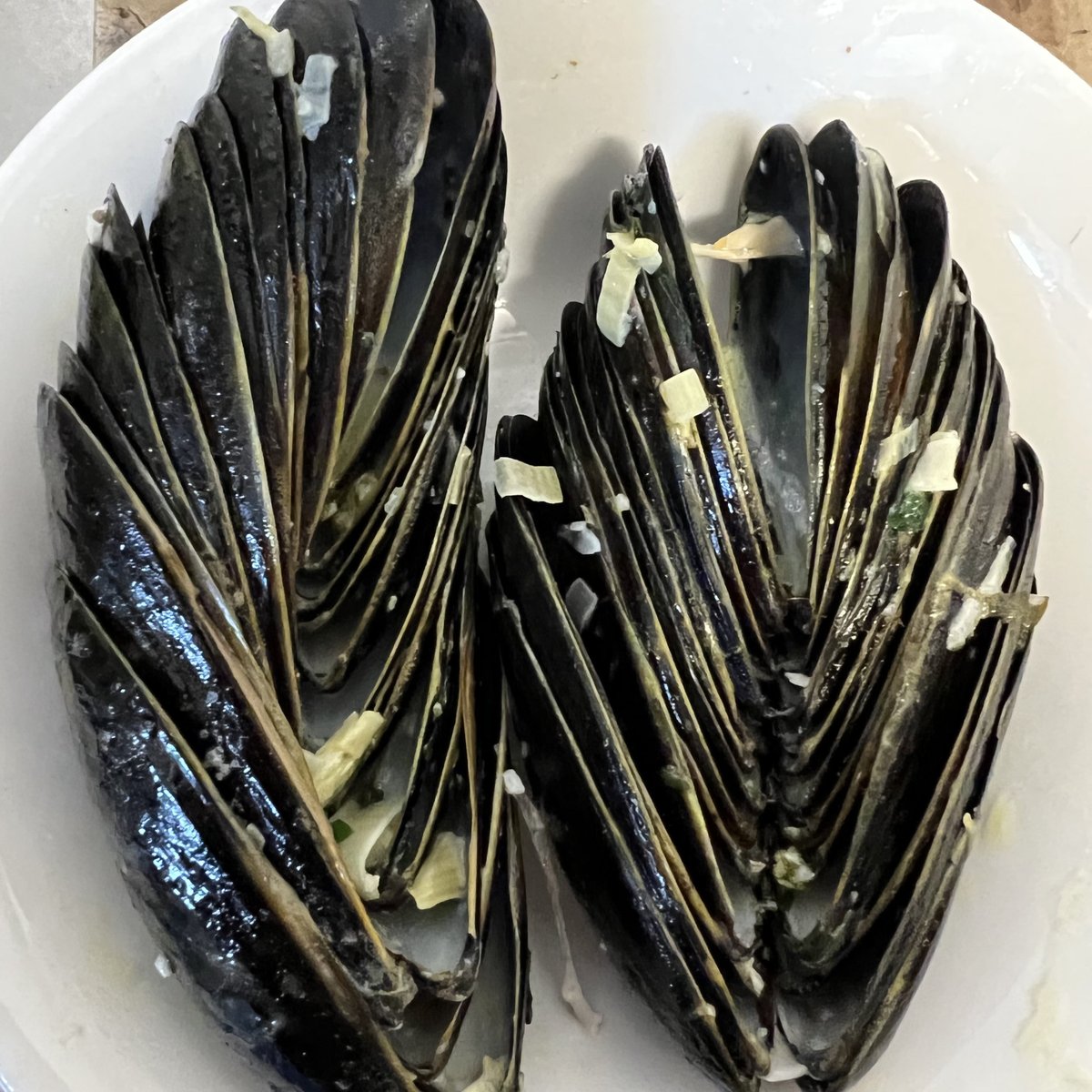 Another Satisfied Customer 🐟 ❤️