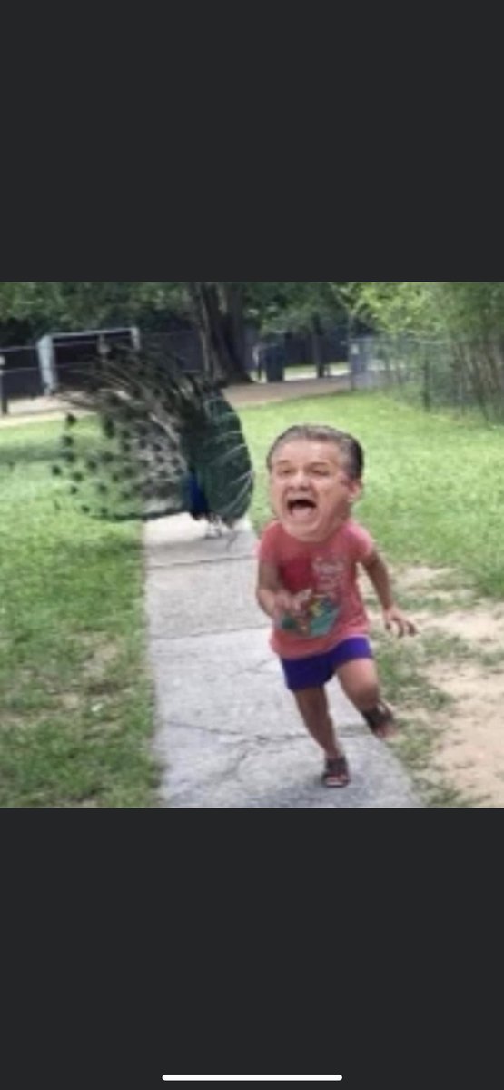 nate_hoskins3's tweet image. 