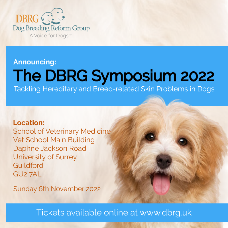 Dog Breeding Reform tweet media