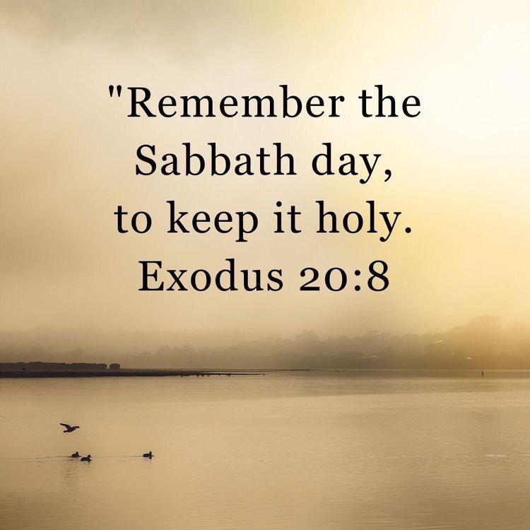 E_G_WHITE's tweet photo. From the pillar of cloud Christ declared concerning the Sabbath: “Verily My Sabbaths ye shall keep: for it is a sign between Me and you throughout your generations; that ye may know that I am the Lord that doth sanctify you.” Exodus 31:13. {6T 350}. https://t.co/Xj4xBsUBAx