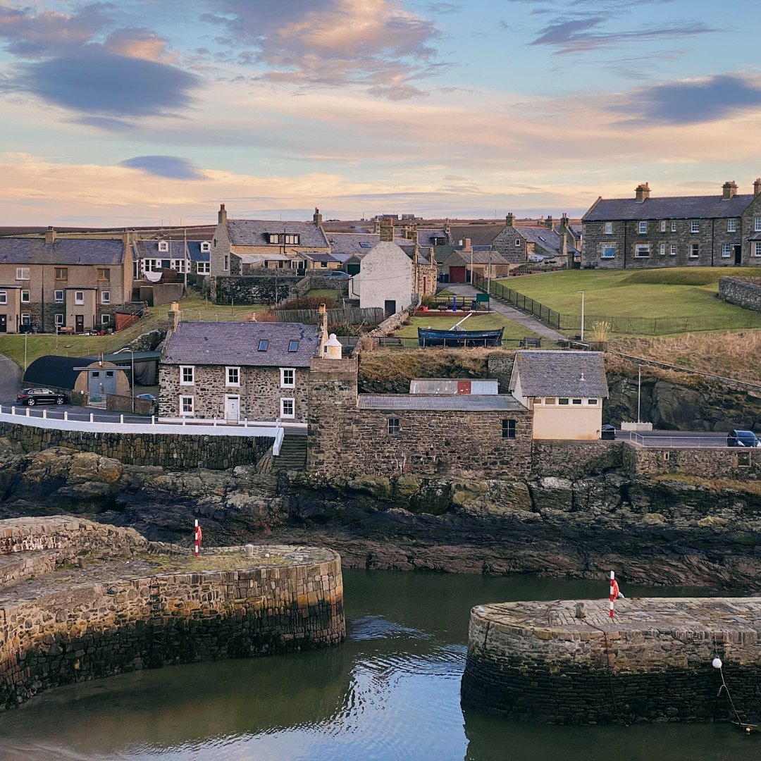 Scottish Hostels tweet media