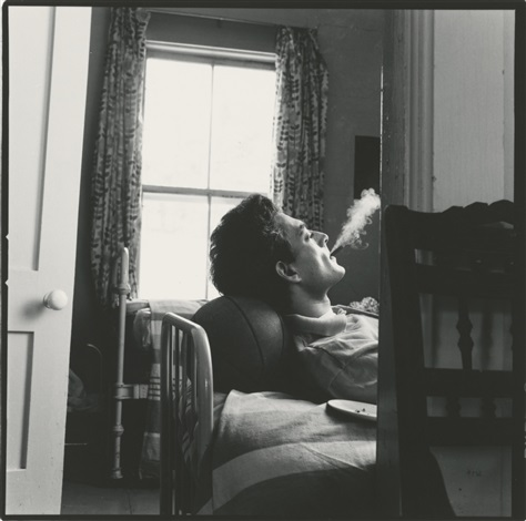 “Reading was my escape and my comfort, my consolation, my stimulant of choice: reading for the pure pleasure of it, for the beautiful stillness that surrounds you when you hear an author's words reverberating in your head.”

Paul Auster
The Brooklyn Follies