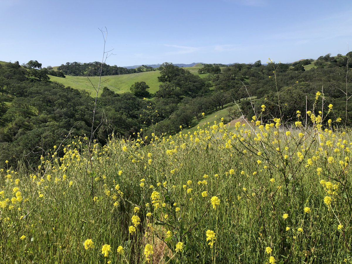 LotharSchubert tweet media