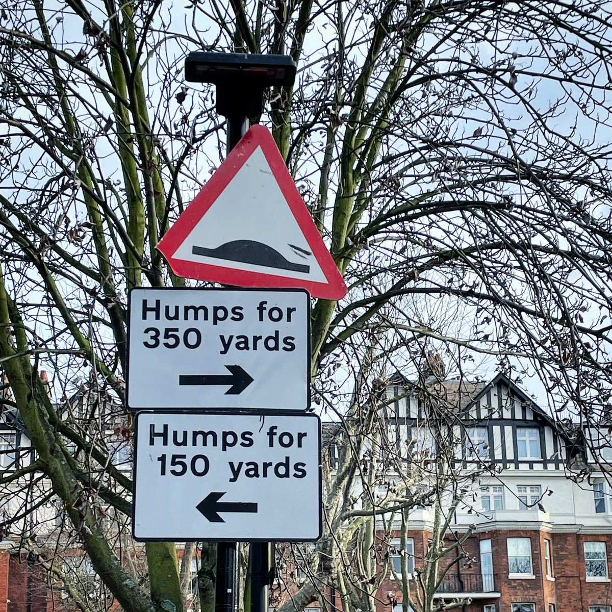 When the doodle chump punk points a finger like a stump tell him step off, I’m doin’ the Hump.