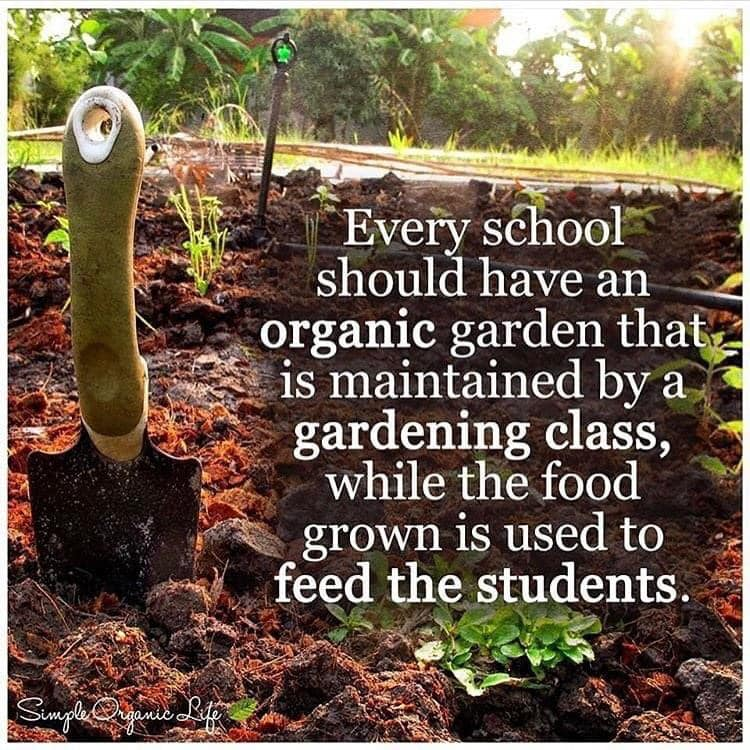 SachelleHuby's tweet photo. I truly believe in a kitchen garden in every school. Let's create sustainable global citizens! #UoNteach #educ4750 #Education #SDG3 https://t.co/gdDIPF6yic