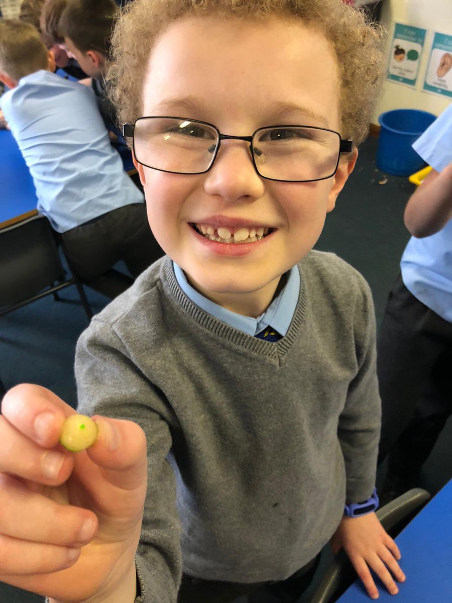 OLM_Primary's tweet image. P3d completed the ‘Skittle Experiment’ and investigated how sugar dissolves in water! #OLMSTEM #ERCSTEM
