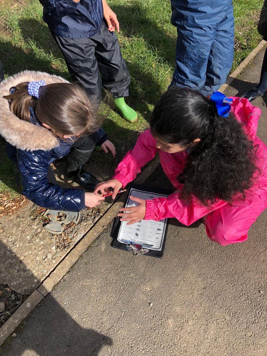 OLM_Primary's tweet image. P3d went on a Minibeast Hunt around our school environment and completed a survey of all the invertebrates we found! #OLMSTEM #ERCSTEM