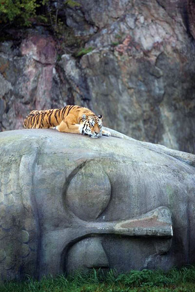 Buddhism Now tweet media