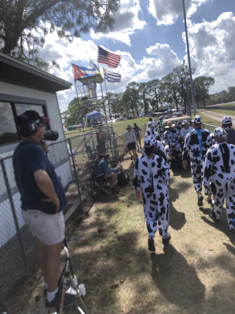 Sebring_Cows's tweet photo. #CowWalk has begun https://t.co/TIjU8hgiWK