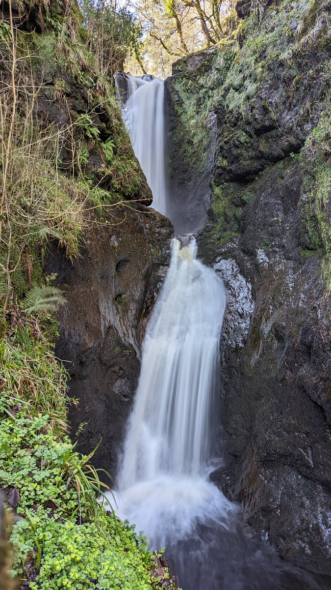 Gerry Hanna tweet media