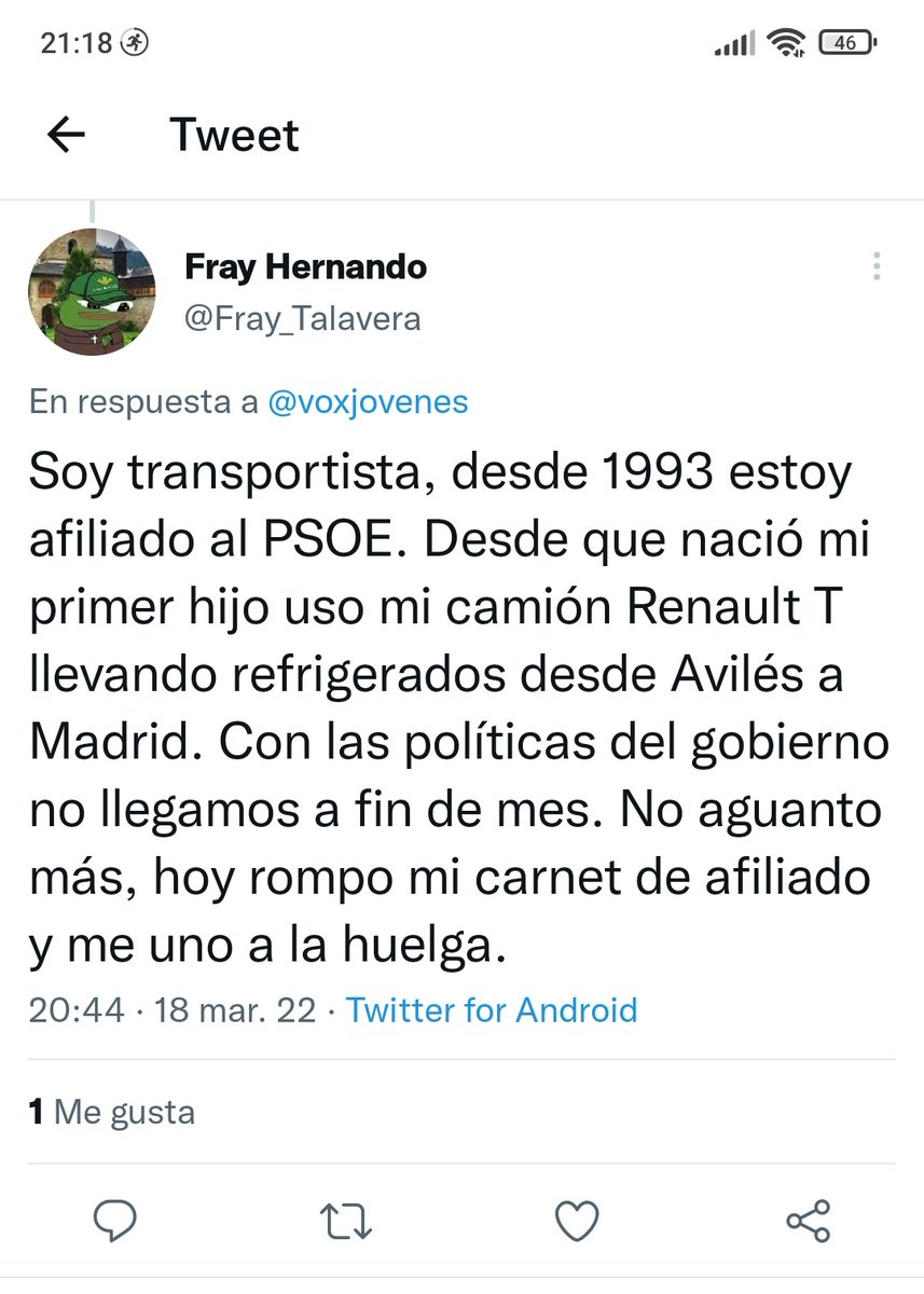 Felidae 🐦 tweet media