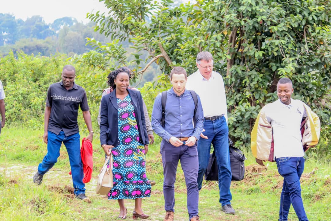 KayanzaSangwe's tweet photo. La @KayanzaSangwe a eu l'honneur d'accueillir ce vendredi 18/03/2022 les fournisseurs des poussins d'un jour et des oeufs fécondés de l'entreprise Pluriton de #Belgique. Ils venaient visiter les centres d'élevages de la @KayanzaSangwe, qui sera son partenaire.
@BelgiumInBuja https://t.co/2buHq1kQj8