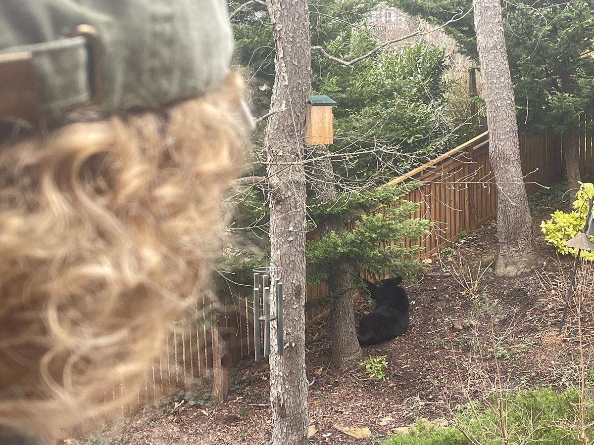 A classic new addition to my ever- expanding album, “Nickole Brown Looks at Animals”