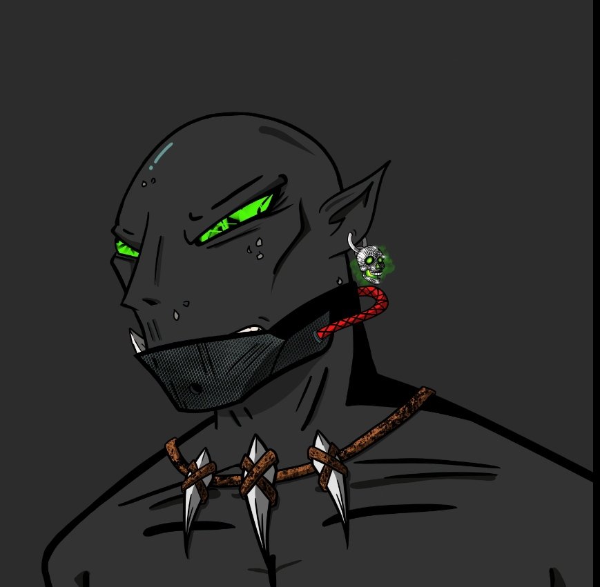 haveyouseenhype's tweet photo. @ShortSyd1 @Calidrew @NFT_Justin @MattttaM_ @Gingerbreadnft @adaGOATS @nftghostchain Sick earrings @Cardanorcs https://t.co/W86w0Gpkq1