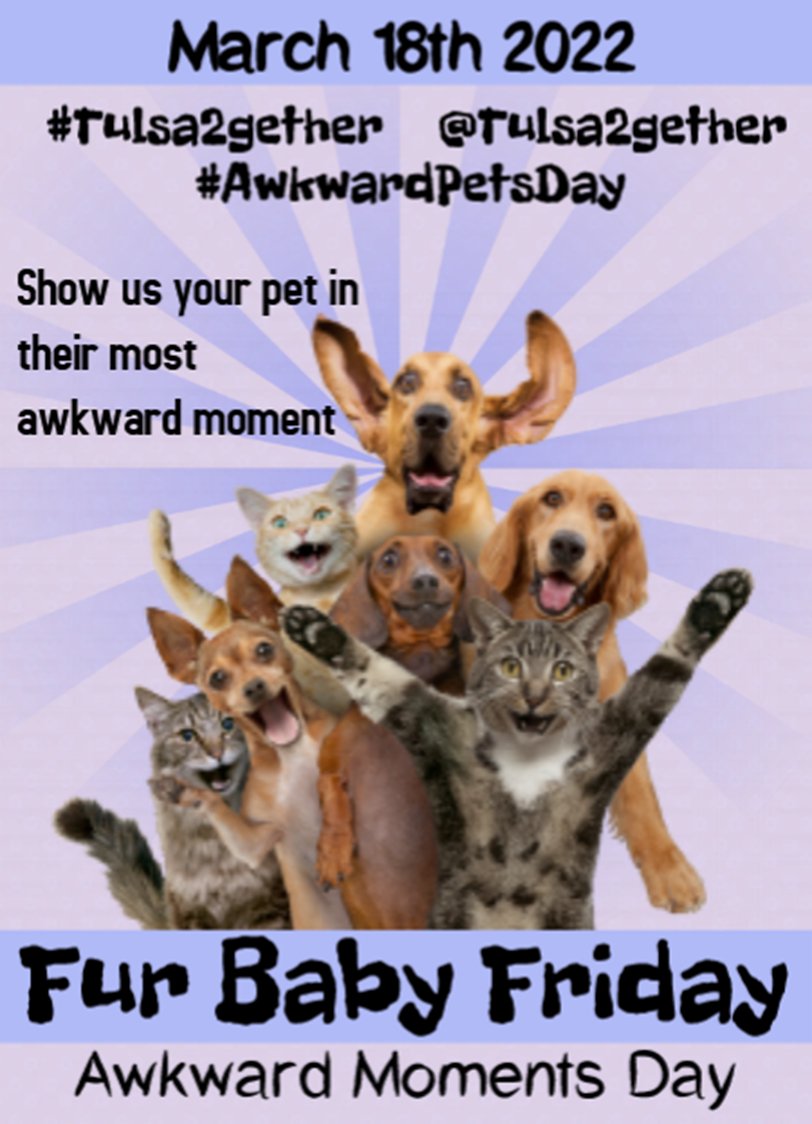 Tulsa2gether's tweet photo. Happy #FurBabyFriday Let's get weird show us your awkward pets for #AwkwardPetsDay #Tulsa2gether https://t.co/qXQH7kkpTT