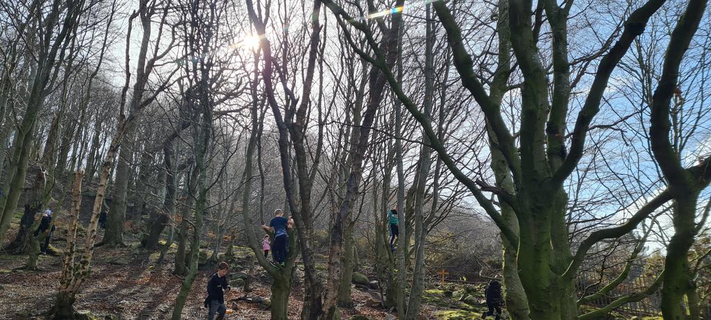 Room 17 and 18 learned all about taking calculated risks. They loved the freedom and overcame their nerves. #Welldone #riskatakers