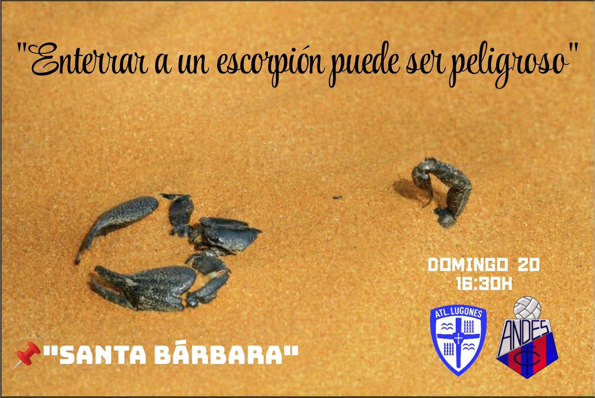 Nos vemos el domingo! 🔵🔴