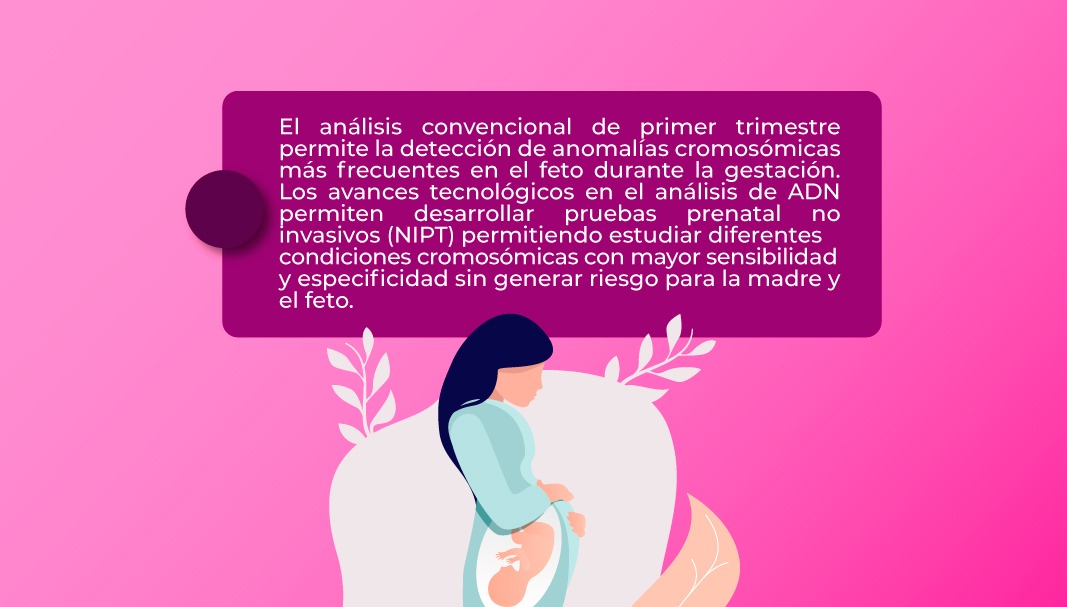 SynlabEcuador's tweet photo. Con NeoBona puedes determinar el riesgo de alteraciones cromosómicas en el feto durante la gestación 🤰🏻.  

Conoce más sobre esta prueba y que puedes consultar con tu doctor si debes realizártela 👉 : https://t.co/F5uQ0SOlaS

#FETO #Cromosomas #MesDeLaMujer #Prevención https://t.co/duYN5NTsoj