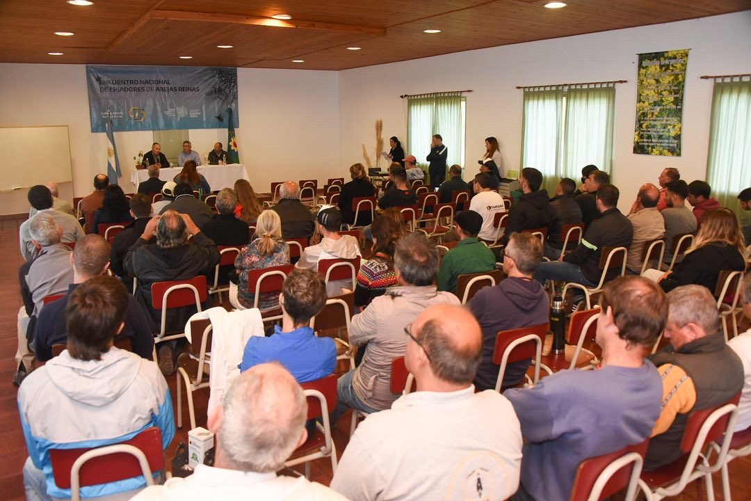 JavoRodriguezL's tweet photo. Inauguré el 5° Encuentro Nacional de Criadores de Abejas Reinas en nuestra Chacra Experimental Apiario Pedro J.Bover en #GralBelgrano. Estos espacios son necesarios para analizar la situación del sector y para pensar nuevos desafíos que ayuden al fortalecimiento de la apicultura. https://t.co/cP6Q4ljW5X