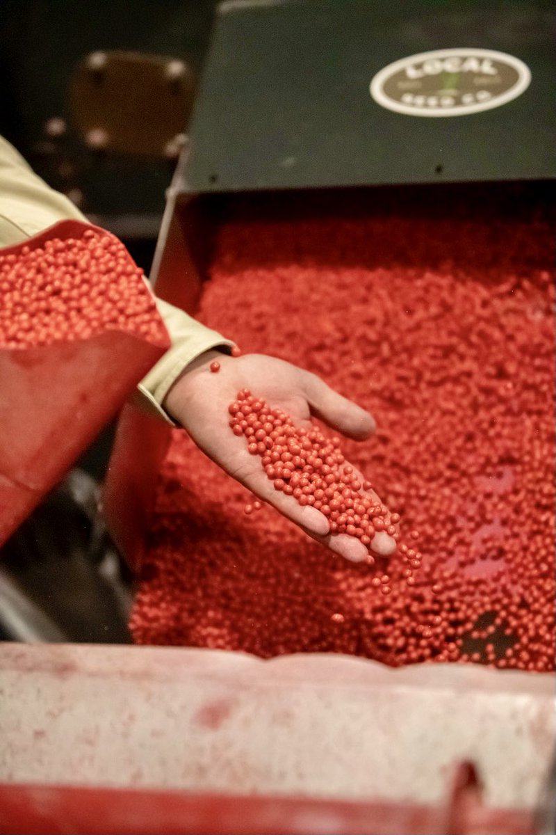 RevereSeed's tweet photo. Hot off the press! #LocalSeed #Plant22 https://t.co/TQLv6XFd4z