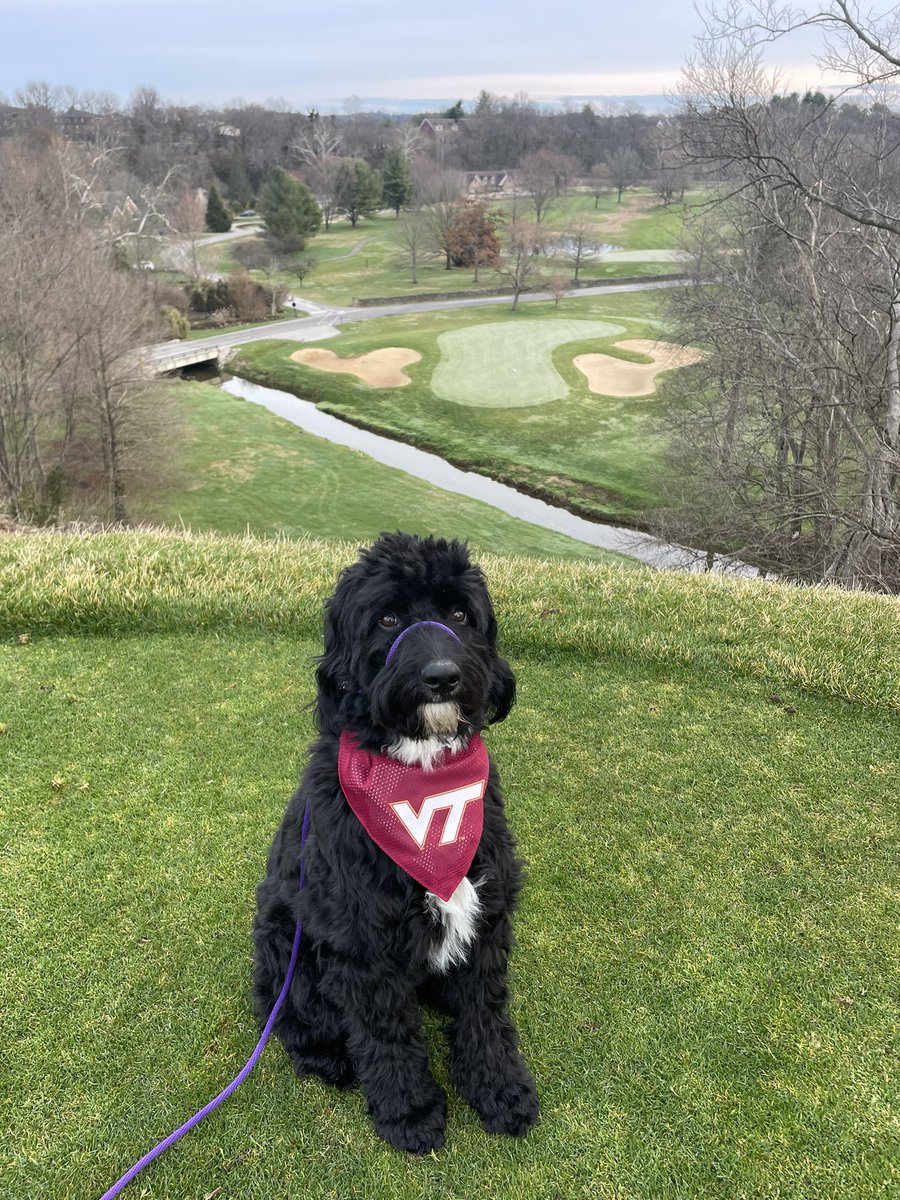 WoCoUKMom's tweet photo. @HokiesMBB @CattoorHunter @CoachGiltner https://t.co/ixHP5bxeaC