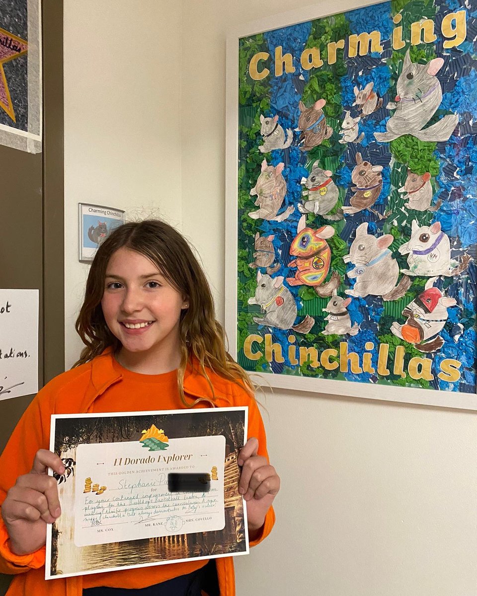 BISCLincolnPark's tweet photo. ✨You guessed it, we had another stellar celebration at this week’s 🏆#RedCarpetAssembly! 👏 Bravos are in order for outstanding achievements in Math, Athletics, French and more! #goBLACKHAWK!🧡🧡🧡
#NordAngliaEducation #PrimarySchool @NAEducation @Simonamsharp https://t.co/WW7L8rSEwg