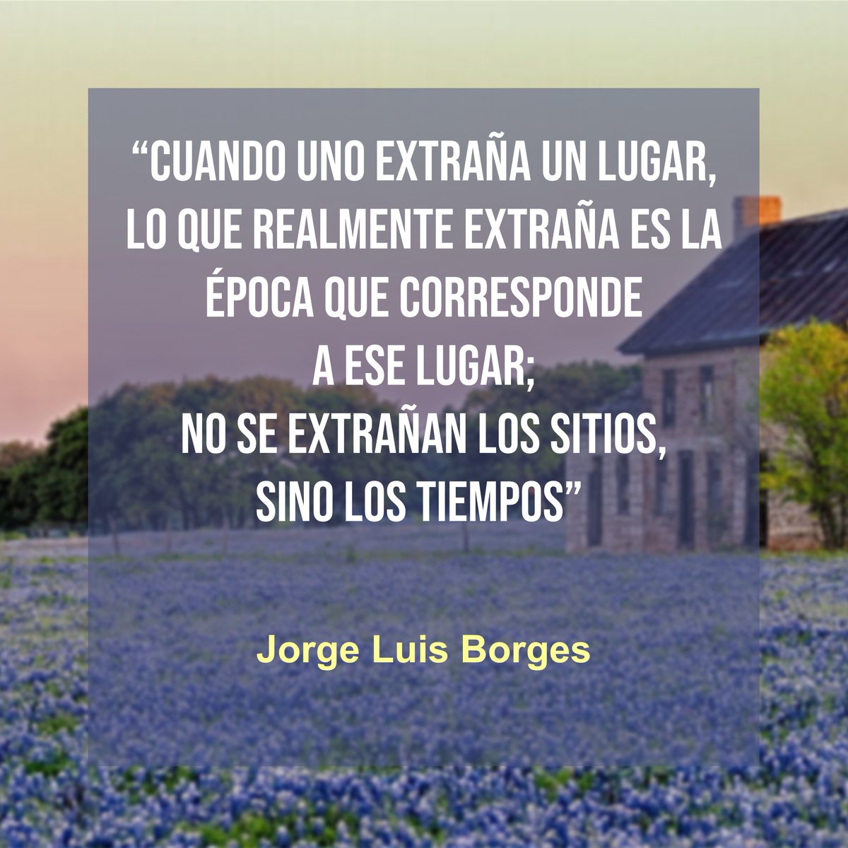 Dr. López Rosetti tweet media