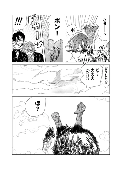 (3/6) 