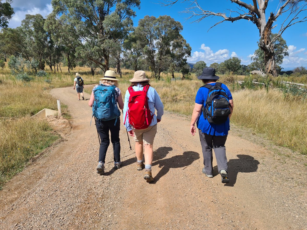 adventure_act's tweet photo. 🥾 Another little 9 km wander yesterday, with the Couch to Mt Tennent crew

#Canberra #canberrawomen #womensadventureact #womenoutdoorscanberra #canberrahikes https://t.co/2qLvpbHeDT