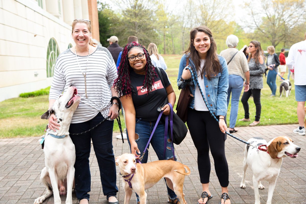 PAWS 🐾 UP 🙌 FOR RASCAL DAY! March 24 can’t get here soon enough. Who’s ready for this <a href="/CumberlandLaw/">Cumberland School of Law</a> tradition? (We are.)