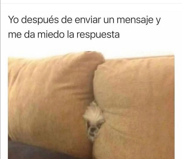 sopitas's tweet photo. #MemeDelDía https://t.co/utazumaBz0