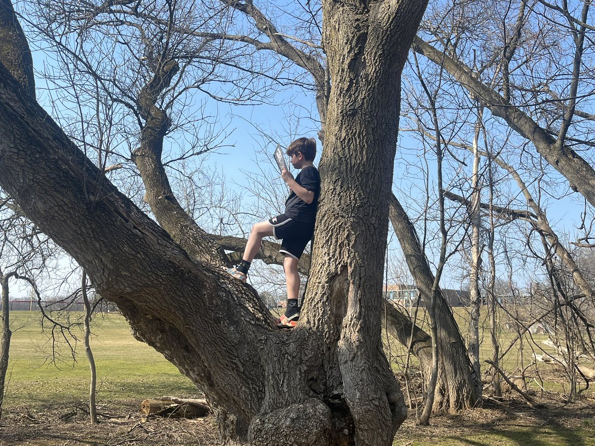 mrs_bitetto's tweet photo. taking advantage of days like this ☀️🌸 #springfever @QuestElementary https://t.co/GrKvptcI5U