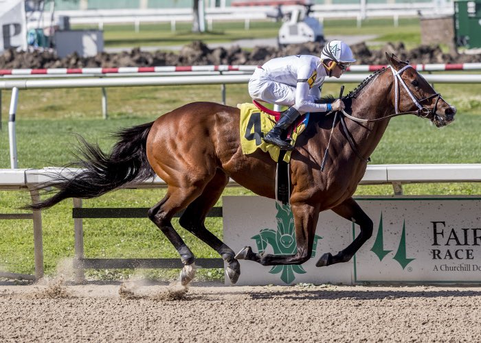 JohnGDooley's tweet photo. NASHVILLE (Speightstown) stamped his authority @fairgroundsnola on Friday’s card recording the best sprint time of the #FG150 meet in 1:08.61 with @b_hernandezjr for trainer Steve Asmussen & co-owner @WinStarFarm. The track record here is 1:08.03 set by Mountain General (2002). https://t.co/A4IhWOhXCm