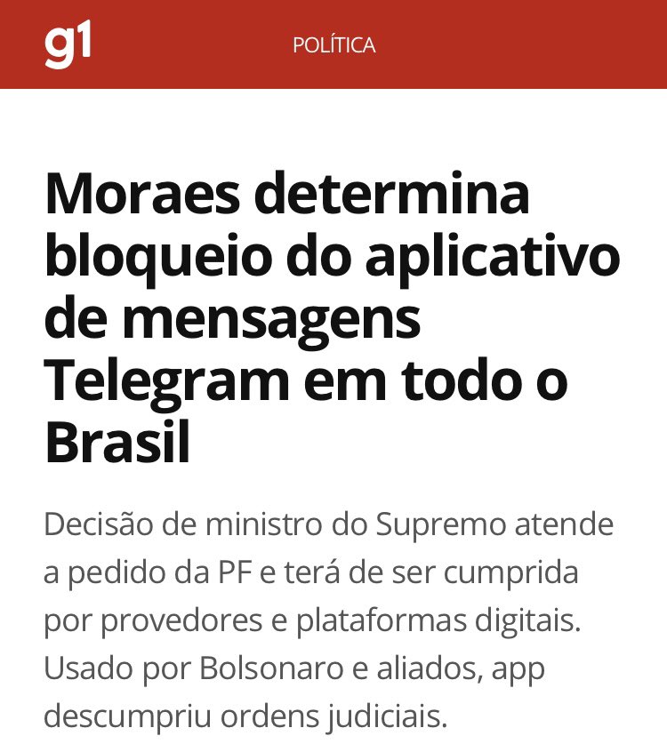 bolsa para entregar açaí