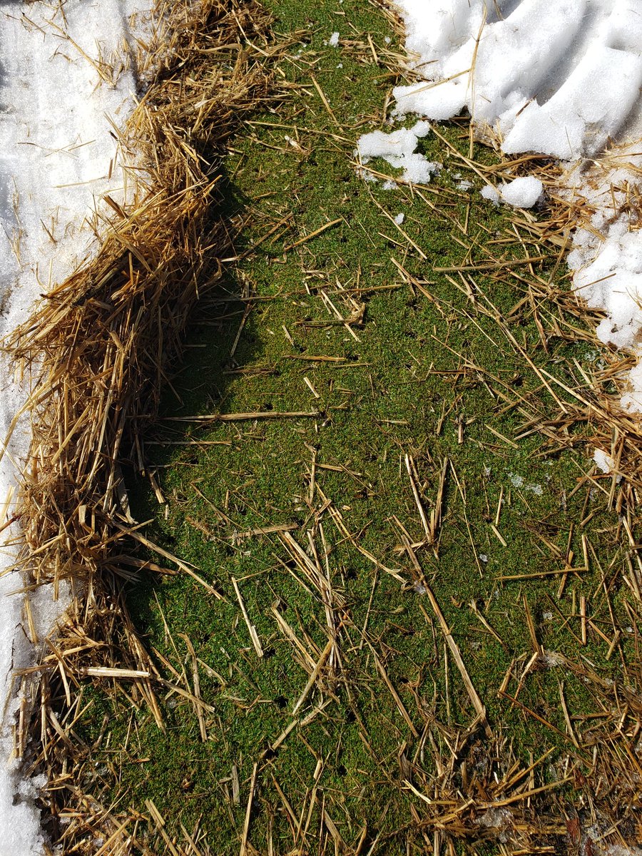 Thomas Breau tweet media