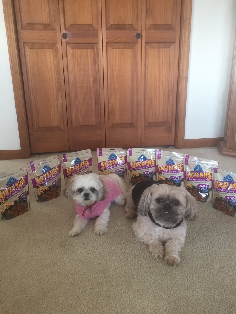 Diana__Torrez's tweet photo. @bluebuffalo Lucy and Bunny are a bit spoiled! @bluebuffalo #BlueBuffaloSizzlers https://t.co/RWAC2AUClV