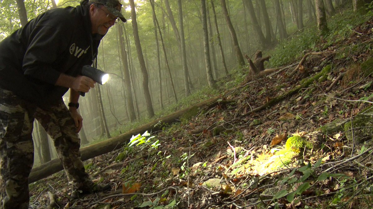 DeerGearTV's tweet photo. Headlamp or handheld light when hunting?

#cyclopslights #getoutofthedark #hunting #deerhunting #trackingdeer https://t.co/0gFXgWy3Ww