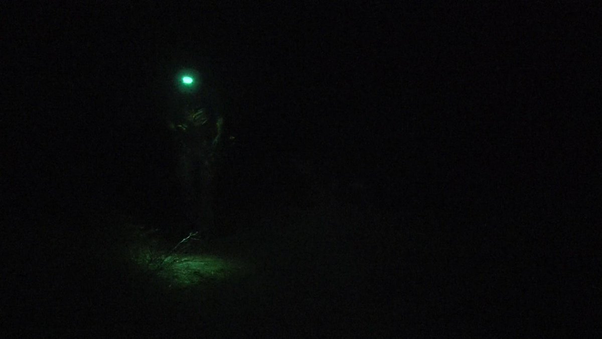 DeerGearTV's tweet photo. Headlamp or handheld light when hunting?

#cyclopslights #getoutofthedark #hunting #deerhunting #trackingdeer https://t.co/0gFXgWy3Ww