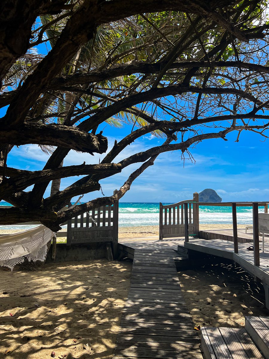 ColleenPhp's tweet photo. Diamant, Martinique 📍 https://t.co/Tsw9q3fM6v