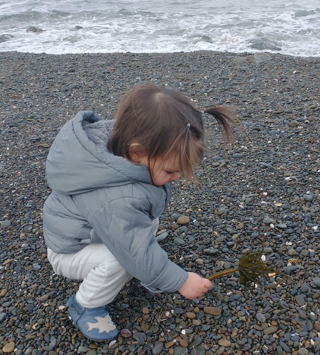 Dr. Sarah Traiger tweet media