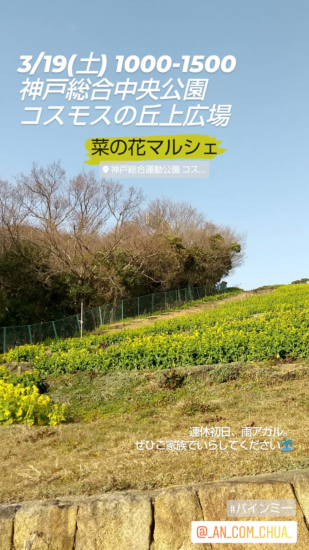 アンコムチュア 芦屋バインミー 3 19 土 1100 1500 神戸総合中央公園 コスモスの丘上広場にて 菜の花マルシェ なんとかお天気もってくれそうです 連休の方も そうでない方も 菜の花のように可憐な1日でありますように もちろんスープは菜の花